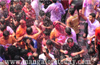 Carstreet bathes in colours of joyous ‘Okuli’ as Kodial Theru concludes